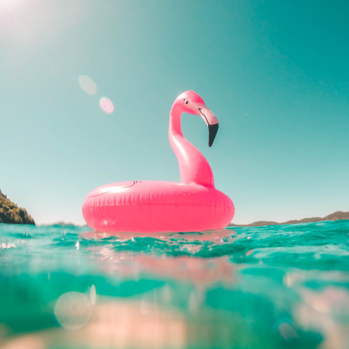 bouée en forme de flamand rose flotte sur l'eau